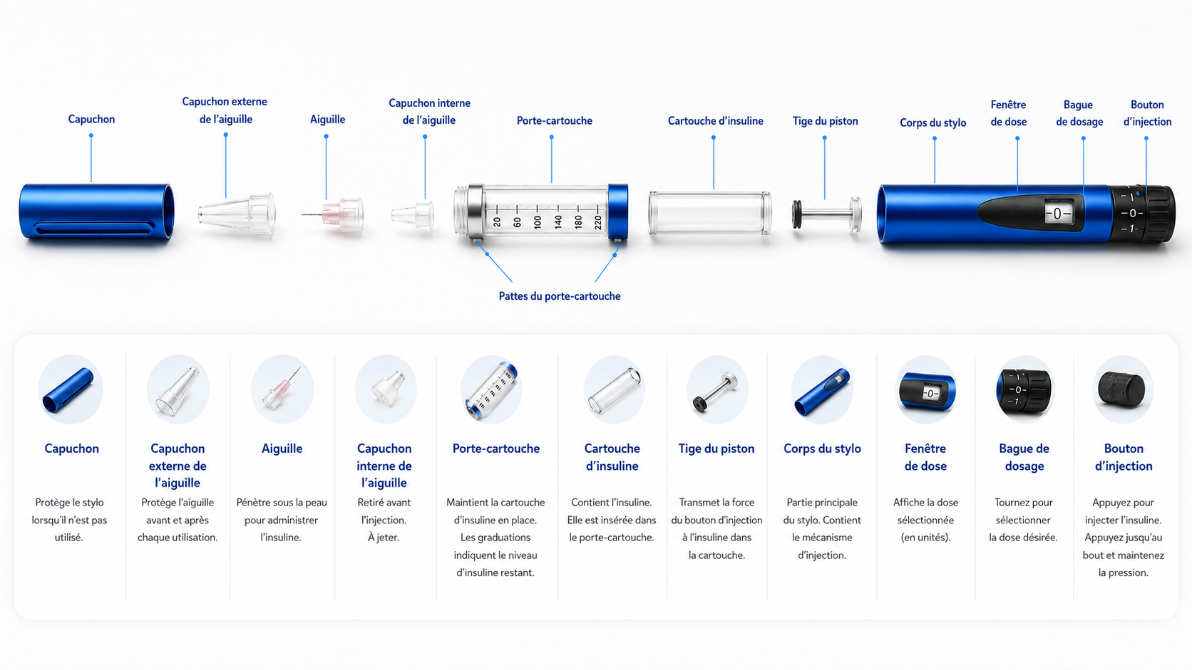 Composition détaillée d'un stylo injecteur pour peptides : capuchon, aiguille, porte-cartouche, cartouche, piston, corps et bague de dosage